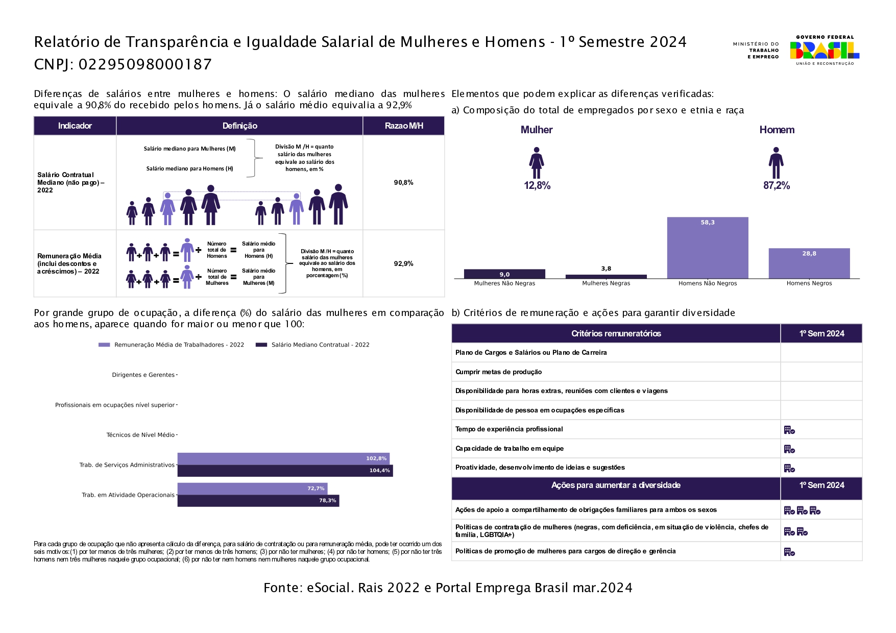 Relatório de Transparência e Igualdade Salarial de Mulheres e Homens - 1º Semestre 2024