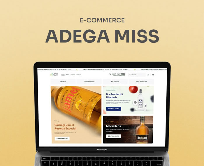 1-1-slide-adega